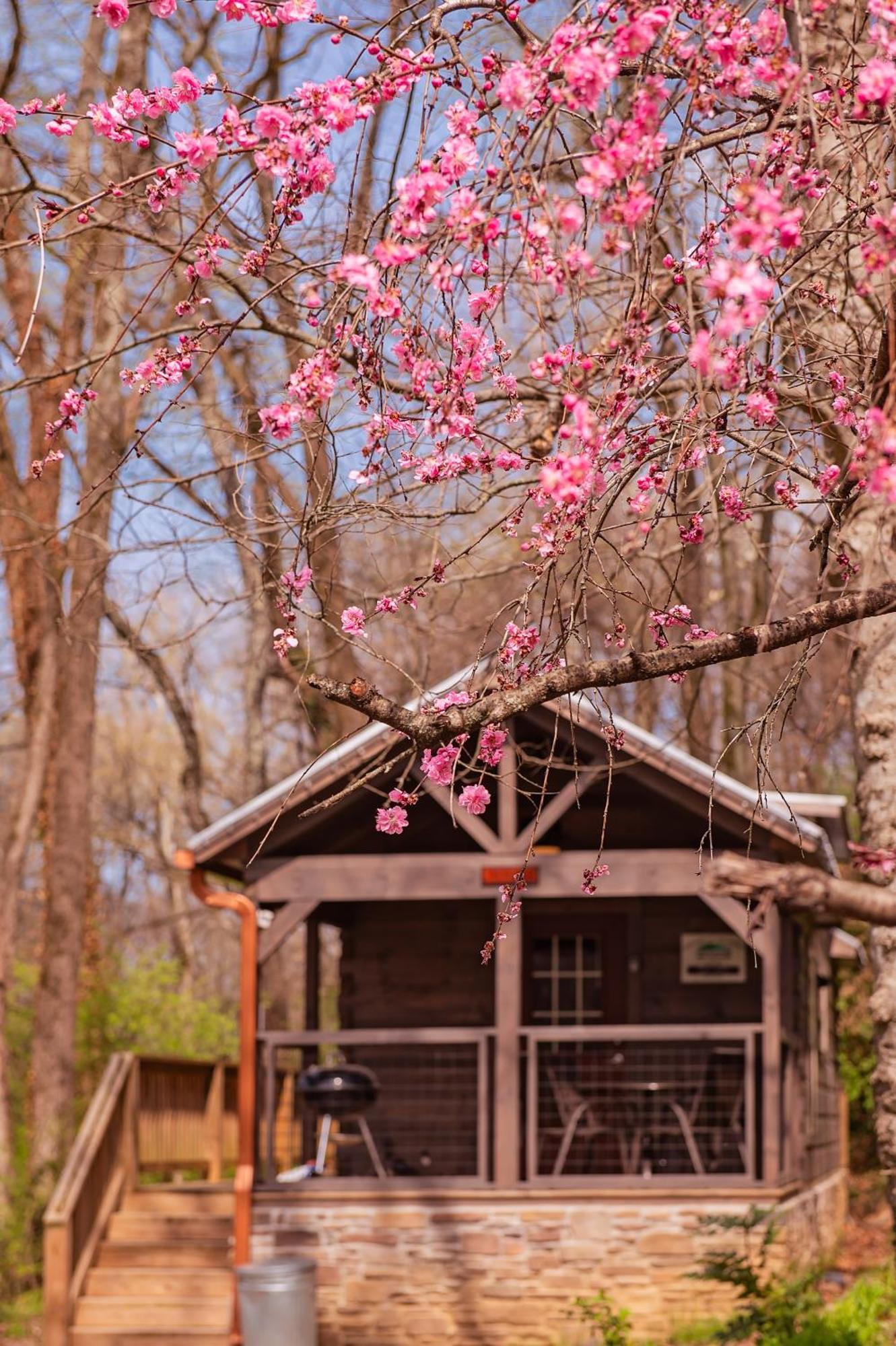Ryon Tiny Home Cabin City-Side Rustic Retreat Chattanooga Extérieur photo